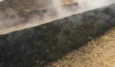 雞糞到底對(duì)于瓜果是毒藥還是寶？